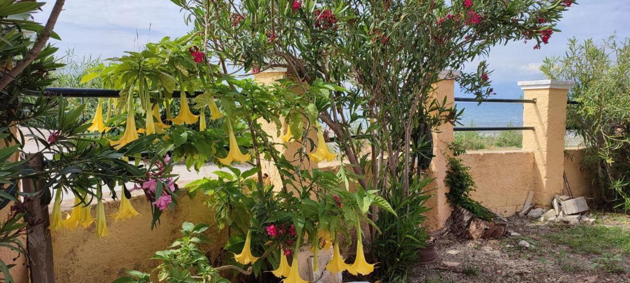 Makris Apartments Roda  Exterior foto